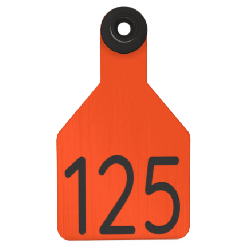 Ritchey Universal Medium Custom 2 Sides Tag With Black Button