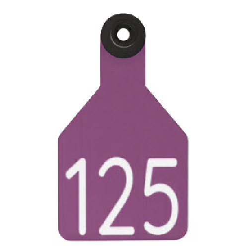 Ritchey Universal Medium Custom 2 Sides Tag With Black Button