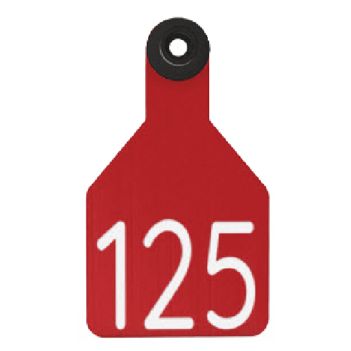 Ritchey Universal Medium Custom 2 Sides Tag With Black Button