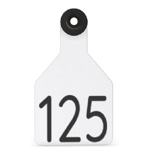 Ritchey Universal Medium Custom 2 Sides Tag With Black Button