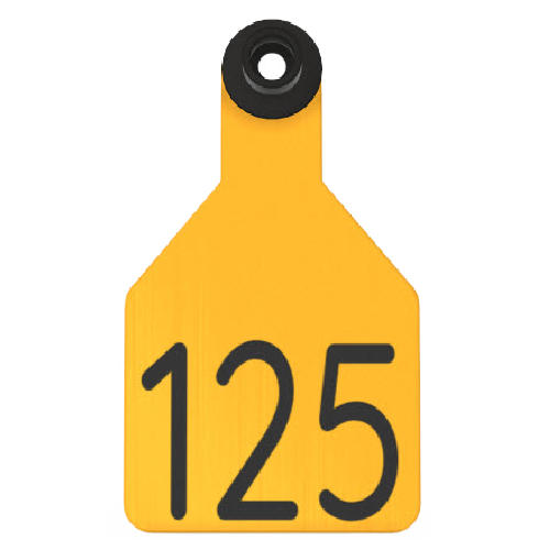 Ritchey Universal Medium Custom 2 Sides Tag With Black Button