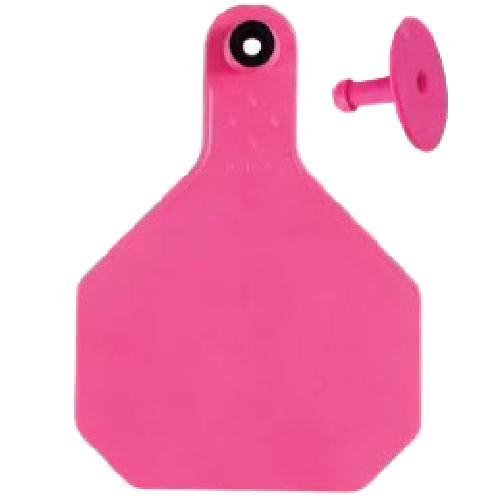 Y-Tex AA Large 4* Custom 1 Side Tag With Button - Tamperproof - USDA 840 Visual