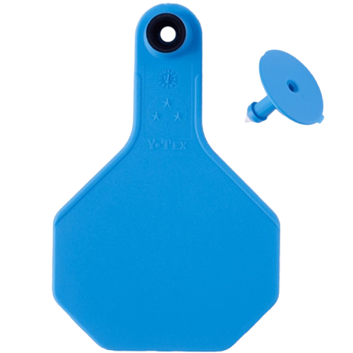 Y-Tex AA Medium 3* Blank Tag With Button