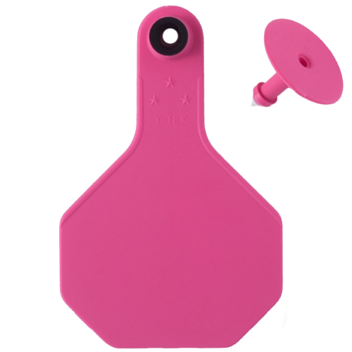 Y-Tex AA Medium 3* Blank Tag With Button