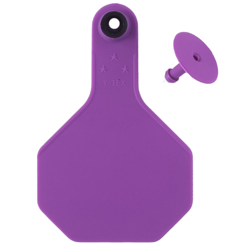 Y-Tex AA Medium 3* Blank Tag With Button