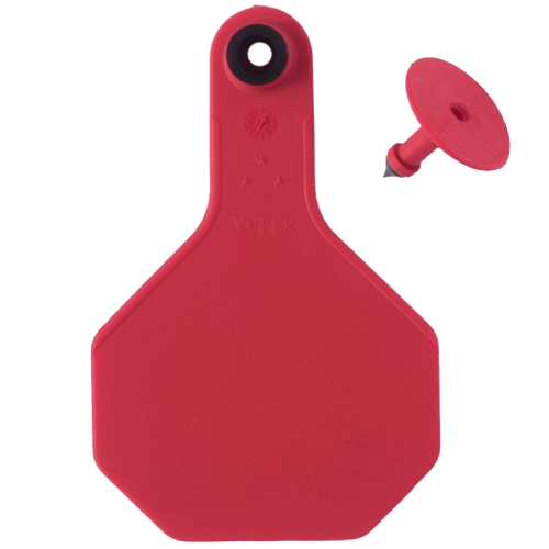 Y-Tex AA Medium 3* Blank Tag With Button