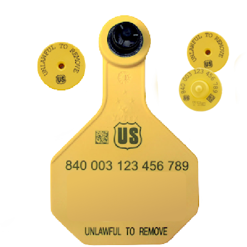 Y-Tex AA Medium 3* Blank Tag With Button - Tamperproof - Matched Set - FDX