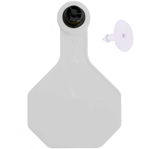 Y-Tex AA Large 4* Blank Tag With Button - Tamperproof