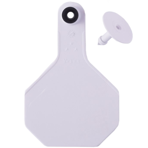 Y-Tex AA Medium 3* Blank Tag With Button