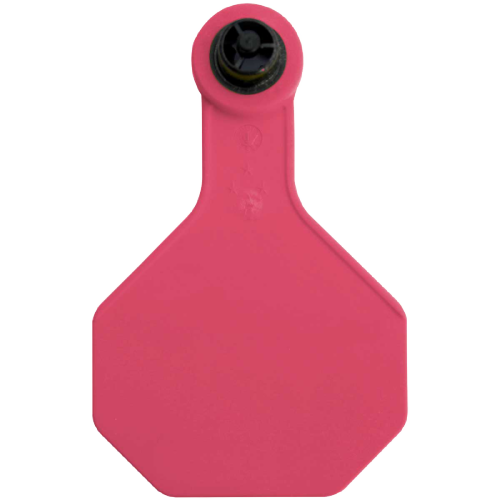 Y-Tex AA Large 4* Custom 2 Sides Tag - Female Tag Only - Tamperproof