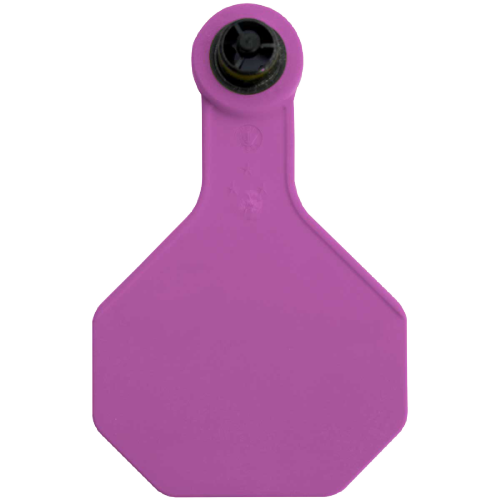 Y-Tex AA Large 4* Custom 2 Sides Tag - Female Tag Only - Tamperproof