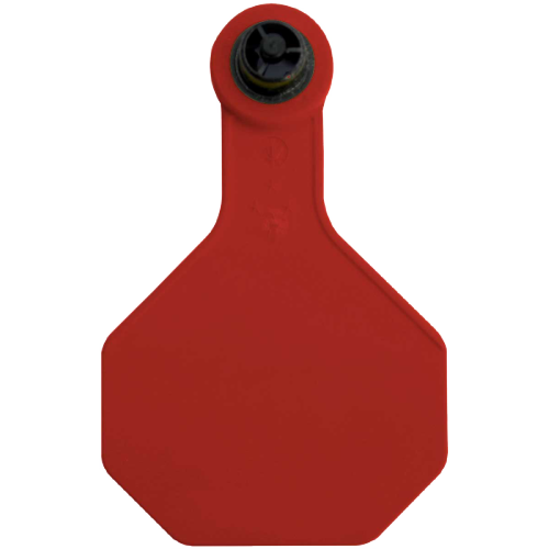 Y-Tex AA Large 4* Custom 2 Sides Tag - Female Tag Only - Tamperproof