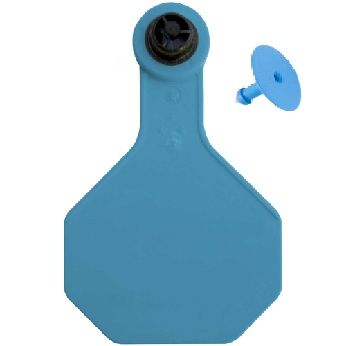 Y-Tex AA Large 4* Blank Tag With Button - Tamperproof