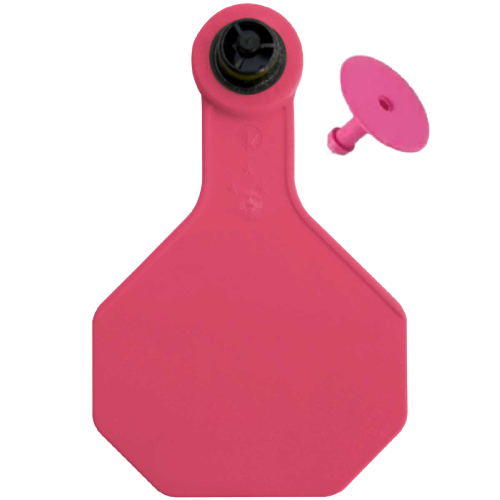 Y-Tex AA Large 4* Blank Tag With Button - Tamperproof