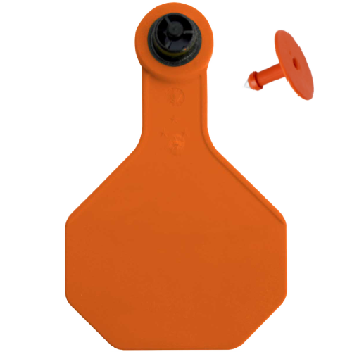 Y-Tex AA Large 4* Blank Tag With Button - Tamperproof