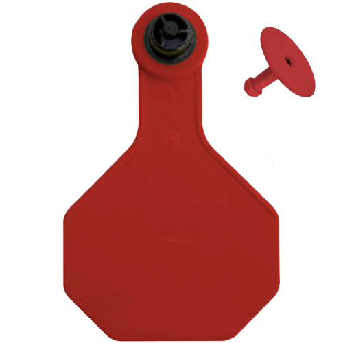Y-Tex AA Large 4* Blank Tag With Button - Tamperproof