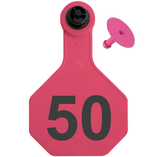 Y-Tex AA Medium 3* Numbered 2 Sides Tag With Button - Tamperproof