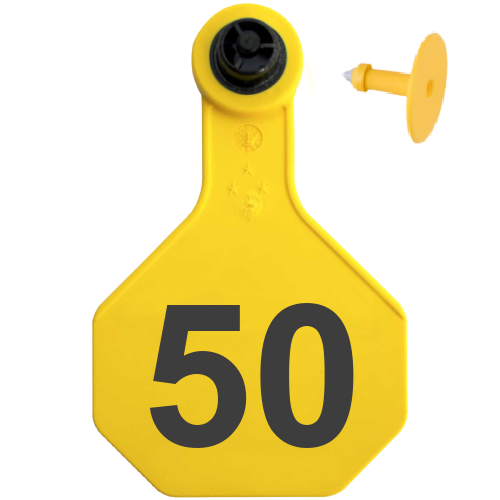 Y-Tex AA Medium 3* Numbered 2 Sides Tag With Button - Tamperproof