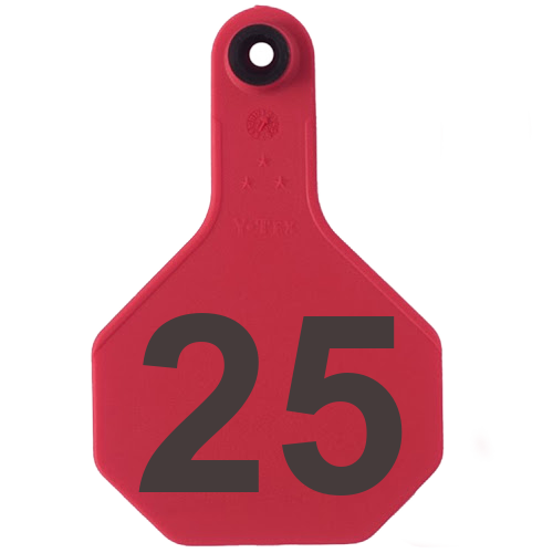 Y-Tex AA Medium 3* Numbered 2 Sides Tag - Male Tag Only
