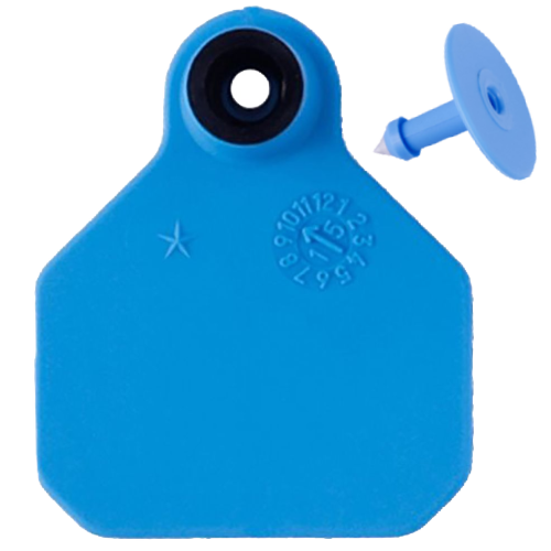 Y-Tex AA Bag of Mini 1* Blank Tags With Buttons (25/bag)