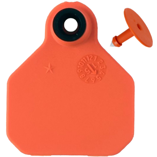 Y-Tex AA Bag of Mini 1* Blank Tags With Buttons (25/bag)
