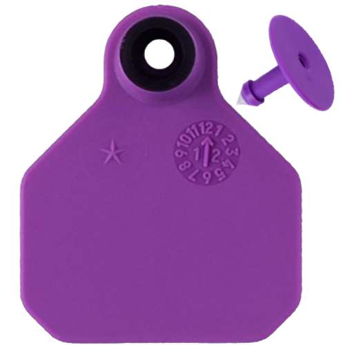 Y-Tex AA Bag of Mini 1* Blank Tags With Buttons (25/bag)