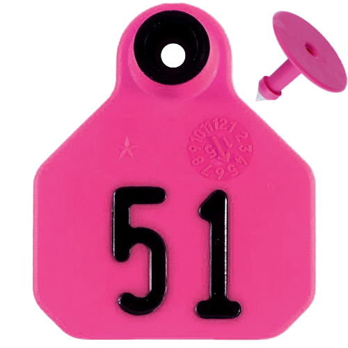 Y-Tex AA Bag of Mini 1* Pre-Numbered Tags With Buttons (25/bag)