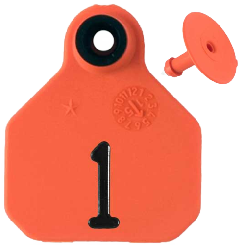Y-Tex AA Bag of Mini 1* Pre-Numbered Tags With Buttons (25/bag)