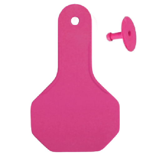 Y-Tex AA Small 2* Custom 2 Sides Tag With Button