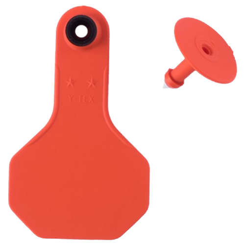 Y-Tex AA Small 2* Custom 2 Sides Tag With Button