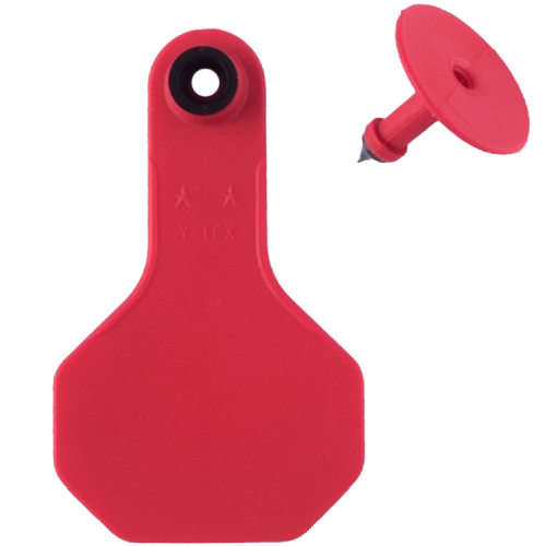 Y-Tex AA Small 2* Custom 2 Sides Tag With Button