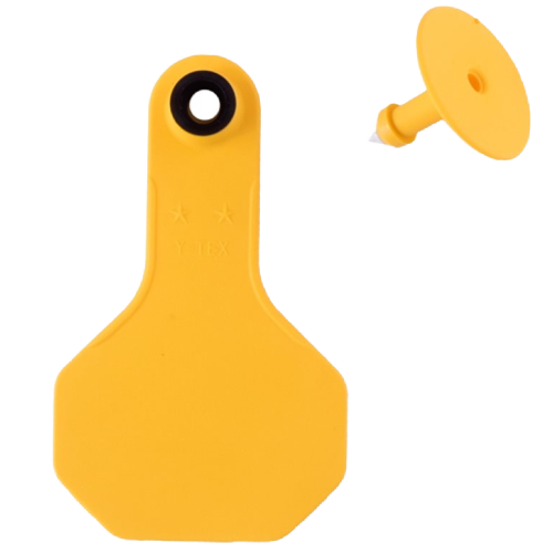 Y-Tex AA Small 2* Custom 2 Sides Tag With Button