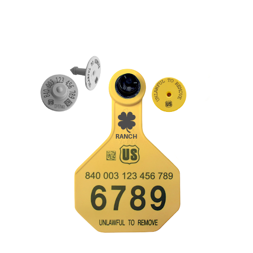 Y-Tex AA Medium 3* Custom 1 Side Tag With Button - Tamperproof - Matched Set - HDX
