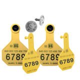 Y-Tex - Dairy Double - 2 AA Large 4* Numbered 1 Side Tags With Medium 3* Male Numbered 1 Side Tags - Tamperproof - Matched Set - HDX