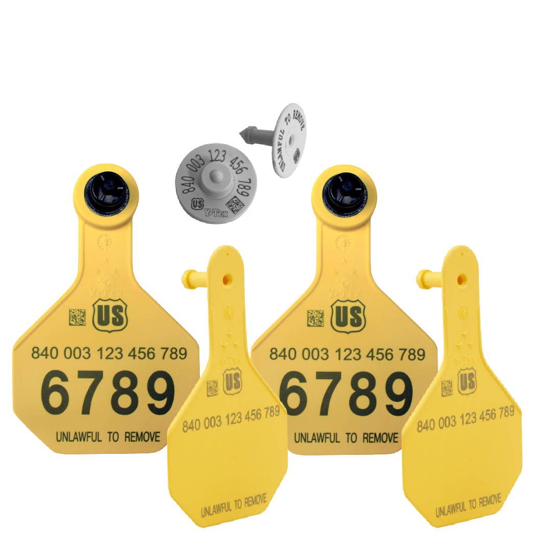 Y-Tex - Dairy Double - 2 AA Large 4* Numbered 1 Side Tags With Medium 3* Male Blank Tags - Tamperproof - Matched Set - HDX