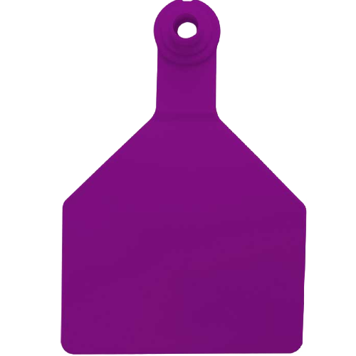 Z Tag Maxi Save the Date Tag Customized on Both Sides
