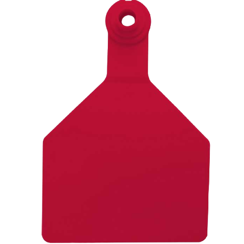 Z Tag Maxi Save the Date Tag Customized on Both Sides