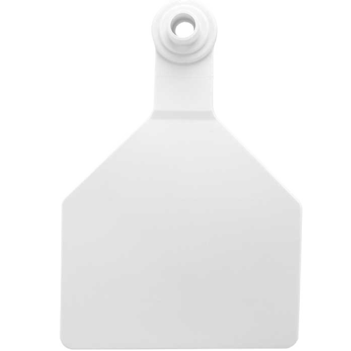 Z Tag Maxi Save the Date Tag Customized on Both Sides