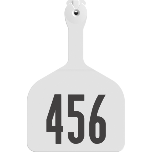 Z-Tag Z1 Feedlot Numbered 1 Side Tag
