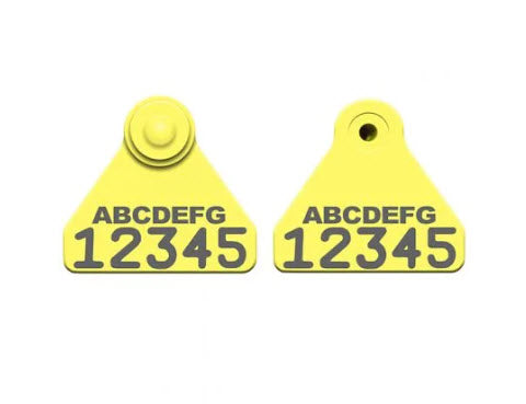 Allflex Global Sheep Mini Custom 1 Side Female Tag with Custom 1 Side Male Tag - Set 1