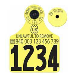 Allflex Global Maxi Numbered 1 Side Tag With Button - All in One - Tamperproof - USDA 840 FDX