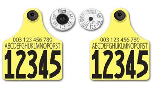 Allflex - Dairy Double - 2 Global Maxi Custom 1 Side Tags With Buttons - Tamperproof - USDA 840 Matched Set - HDX