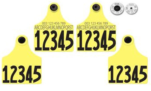 Allflex - Dairy Double - 2 Global Maxi Custom 1 Side Tags With Large Male Custom 1 Side Tags - Tamperproof - Matched Set - HDX
