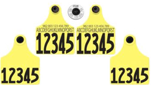 Allflex - Dairy Double - 2 Global Maxi Custom 2 Sides Tags With Buttons - Tamperproof - 982 Matched Set - HDX