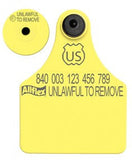 Allflex Global Large Blank Tag With Button - Tamperproof - USDA 840 Visual