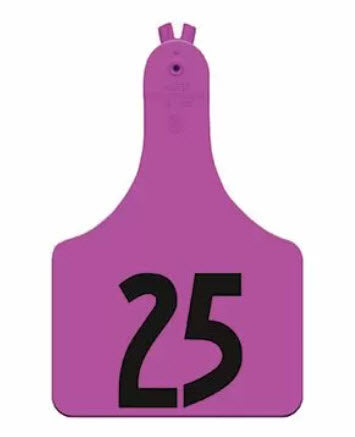 Allflex ATag Calf Custom 1 Side Tag