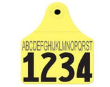 Allflex Global Large Custom 1 Side Tag - Male Tag Only