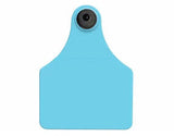 Allflex Global Large Blank Tag With Button - Tamperproof - Matched Set - USDA 840 HDX