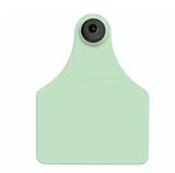 Allflex Global Large Blank Tag With Button - Tamperproof