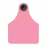 Allflex Global Large Blank Tag With Button - Tamperproof - USDA 840 Visual